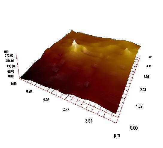 52 Şekil 4.13. Atış artığı yapısının 10 x10µm lik AFM 3d görüntüsü. 4.6.