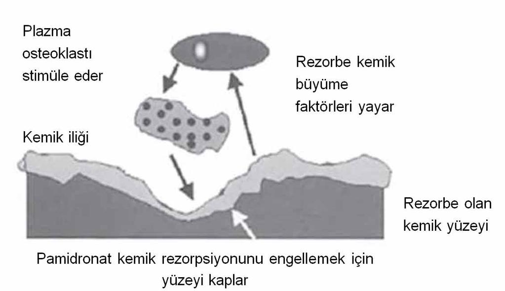 genellikle gerekli olmaktadır. İmmonmodulatör ilaçlar (IMiD ler): İdame tedavide talidomidin rolünü kapsamlı şekilde değerlendirmek için veriler henüz toplanma aşamasındadır.