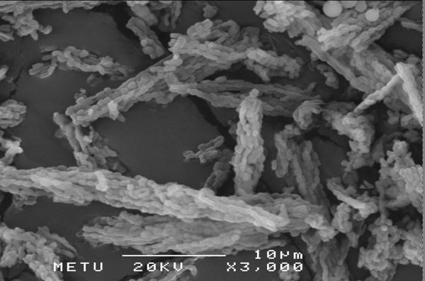 77 (a) (b) Resim 4.1. SBA-15 malzemesinin SEM fotoğrafı (a)3 000 büyütme (b)10 000 büyütme 4.2.