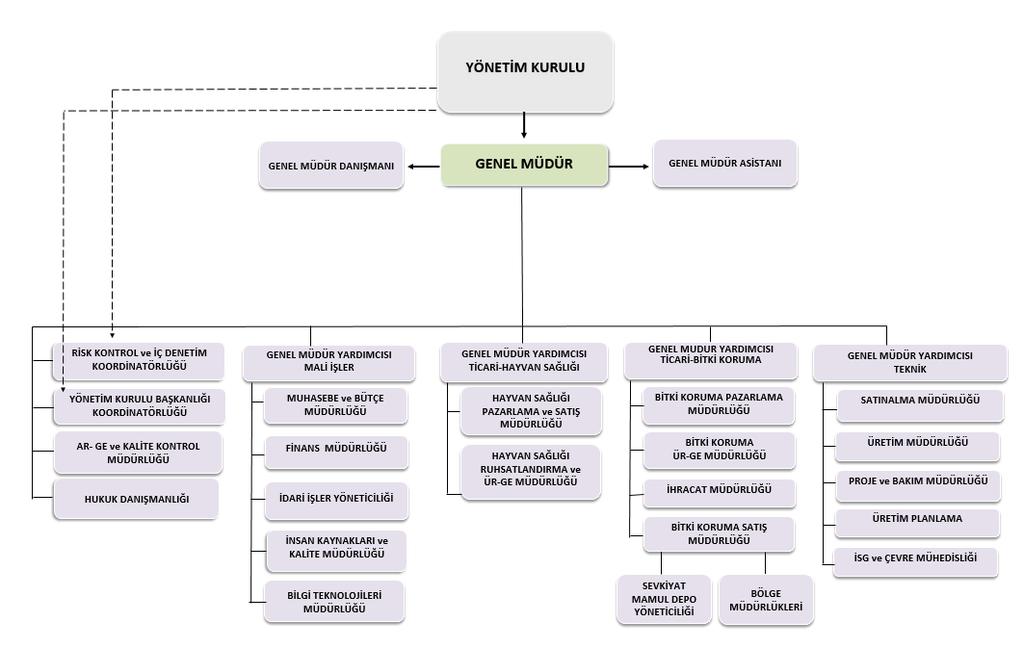 Sayfa No: 5 4. Şirketin Organizasyon Yapısı Dönem içinde; operasyonel verimlilik ve güçler dengelerini de dikkate alarak organizasyon yapısında bazı değişiklikler yapılmıştır.