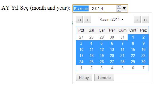 INPUT month Nesnesi İnput nesnemizin type özelliğini month yaparak aylık tarih