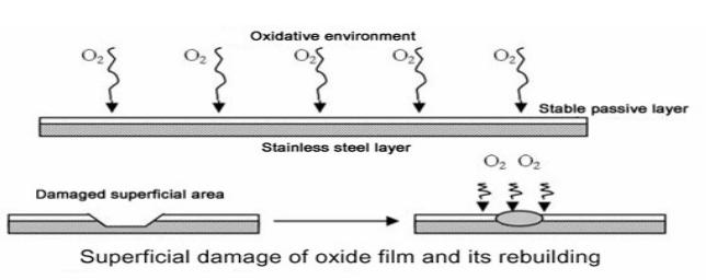 2164 1. GİRİŞ Paslanmaz çelikler çevresel etmenlere karşı çok çok ince, yüzeysel oksit katmanları tarafından korunmaktadır.
