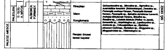 Genelleştirilmiş