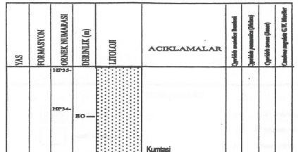 4.ARAŞTIRMA