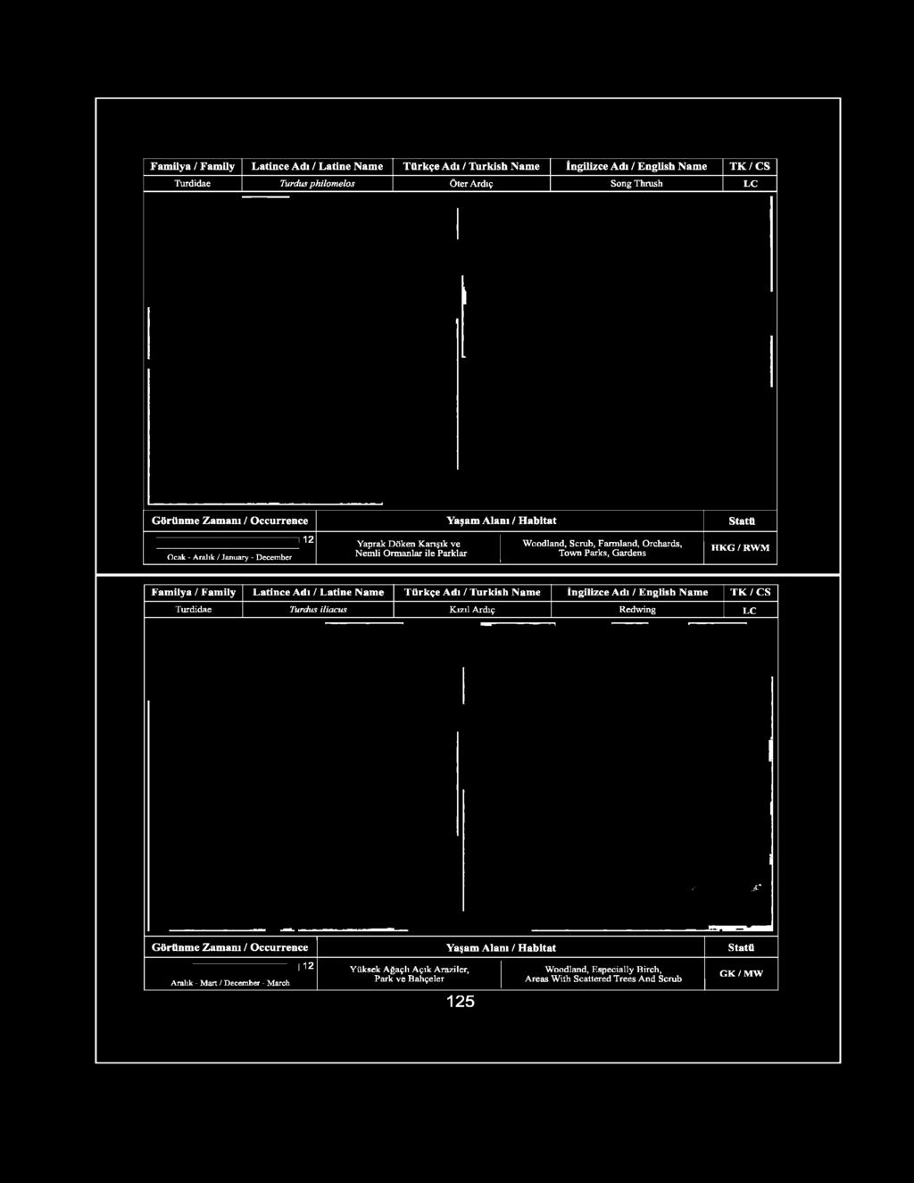 Latince Adi / Latine Name Türkçe Adi / Turkish Name İngilizce Adı / English Name T K /C S Turdidae Turdus iliacus Kızıl Ardıç Redwing LC i J 1jt* Aralık