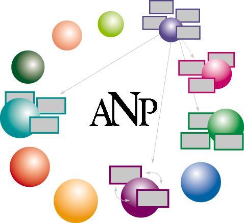 The Analytic Hierarchy Process The Analytic Network Process AHP printer friendly version ANP Y.