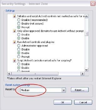 4. Enable (Etkinleştir) için güvenli olarak imzalanmış veya işaretlenmiş ActiveX controls and plug-ins (ActiveX denetimleri ve eklentileri) seçeneklerini değiştirin.