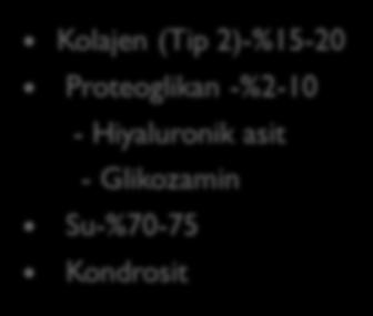 Kolajen (Tip 2)-%15-20 Proteoglikan -%2-10 -