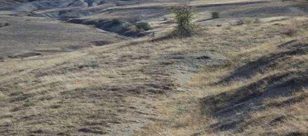 Resim 10: Kızılyazı semtindeki antik yol kalıntısı (Foto: İsmail Kaygusuz) Resim 11: Suceyin köyündeki Taş Köprü (Foto: Göldağı-Arapgir) 4) Dördüncü kanıtımız, 1982 yılı köy arazisinde yapmış