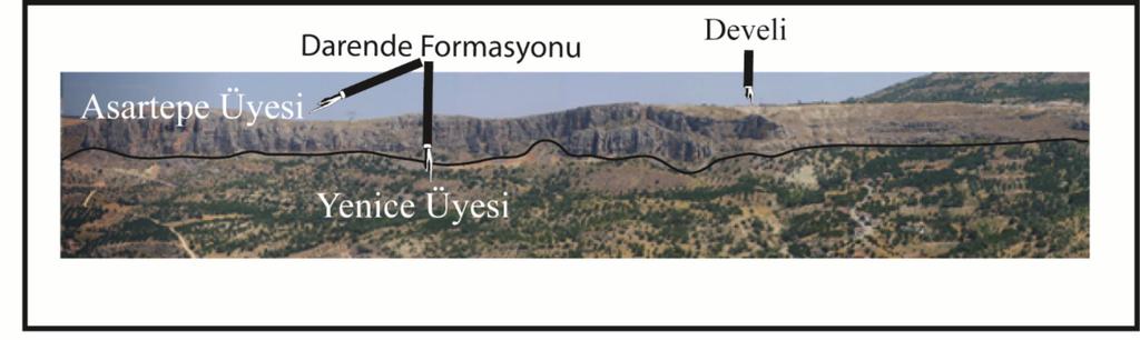 Paleontolojik Bir Jeosit Örneği: Hasanağa Deresi, Akçadağ, Malatya Bölgesel Jeoloji Darende Formasyonu Bu çalışmanın konusunu oluşturan Eosen yaşlı Darende Formasyonu bölgede çalışma yapan