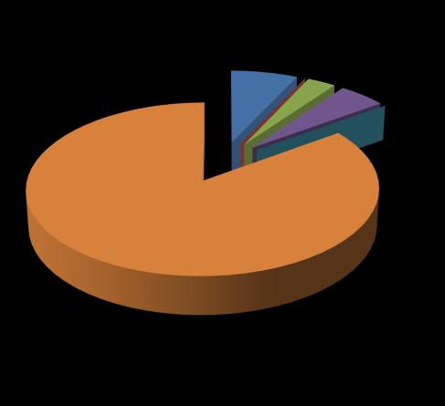 7% 0% 3% 0% 5% Genel Kamu Savunma Kamu Düzeni ve Güvenlik 85% Sağlık