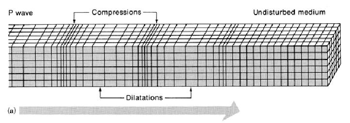 Yer Hareketinin Sismik Karakterizasyonu Sismik Dalga Türleri Bünye Dalgaları (Body Waves): İki tür ortam dalgası vardır, 1.