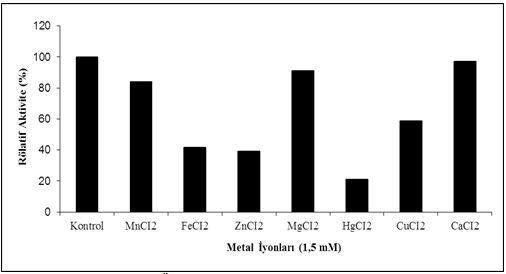 Topraktan İzole Edilen Streptomyces sp.