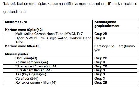 Yeni Mesleki Maruziyetler ve Kanser-2 -Kuempel, E.D., Jaurand, M.C., Moller, P., Morimoto, Y., Kobayashi, N., Pinkerton, K.E. ve diğerleri.