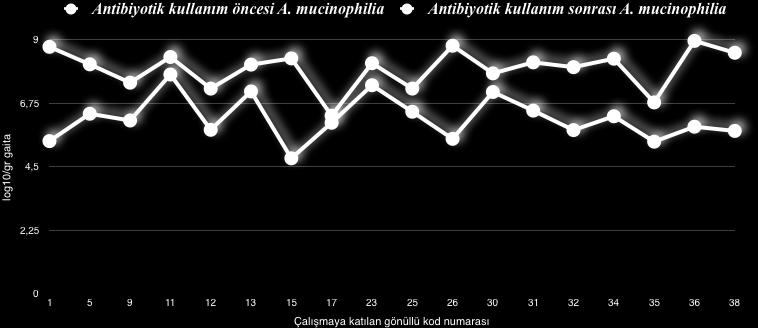 mucinohilia nın 