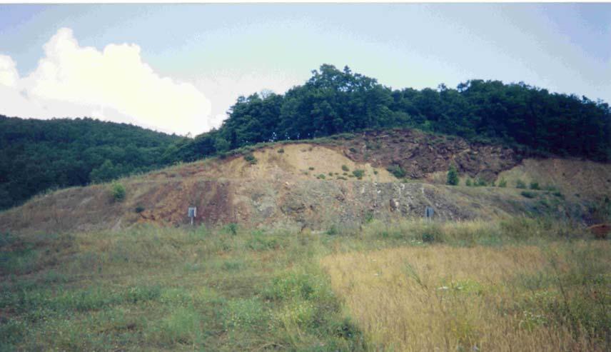 kaya geçişleri gözlenir. 20-30 m. kalınlığa varan bu mega bloklar Çan Biga devlet yolu boyunca, yol yarmalarında, sıklıkla mostra verir (Şekil 2.11)