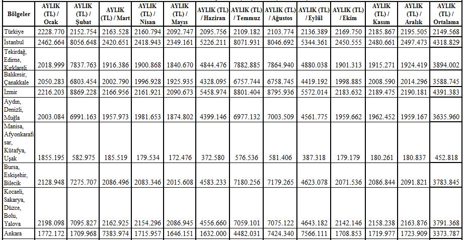 Tablo 12: 2009 Yılı