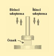 Duyusal değerlendirmede panelistler pişmiş sucuk örneklerinin renk, tekstür, gevreklik, tat-koku-lezzet ve genel kabul edilebilirlik özelliklerini değerlendirmişlerdir.