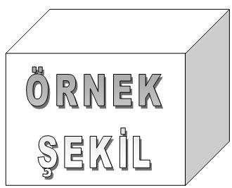 Şekil 1.1 : Model yapıları. 1.3 Hipotez eos et accusam et justo duo dolores et ea rebum. Çizelge 1.1 : Tek satırlı ve kolonlar ortalanmış çizelge.