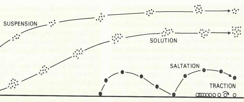 Hareket Şekilleri Suspension Solution Saltation Traction Briggs, D.