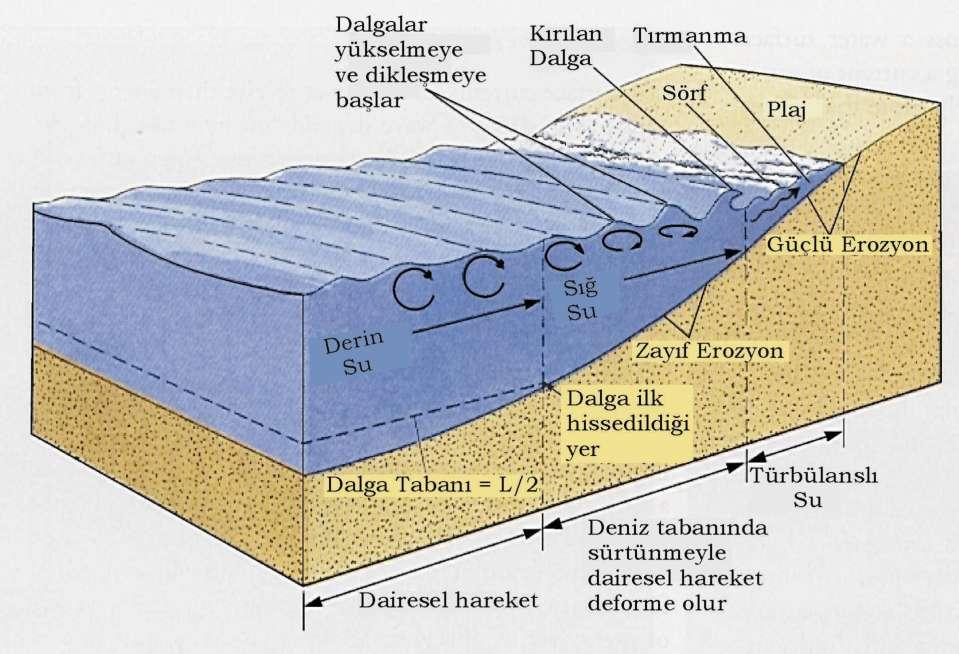 Doğa Bilimleri