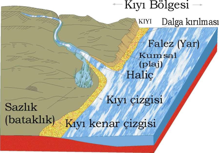 Doğa Bilimleri