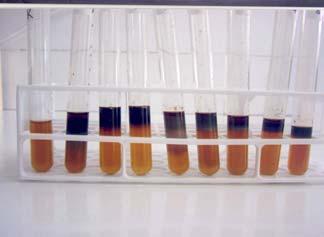 mutans ın, glikozdan aseton üretimi sonucu oluşan görüntü (b) Katalaz testi sonucu oluşan görüntü (K: Kontrol, 1: referans suş, 2-4: Down Sendromlu çocuklara ait S.