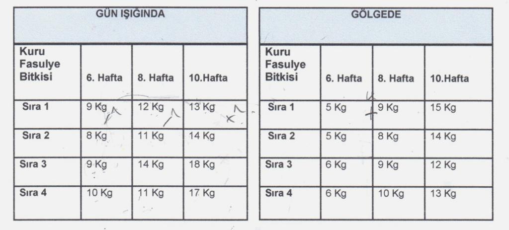 11. Haftanın altına yazarak), burası da -1 olacak ( 12. Haftanın altına yazarak). Şöyle - 1, -1, +1. -1, -1, +1. Asya: Ben benim tekniğimle sağlayacağım şimdi ( yukarıda belirttiği -1,-1,+1 ).