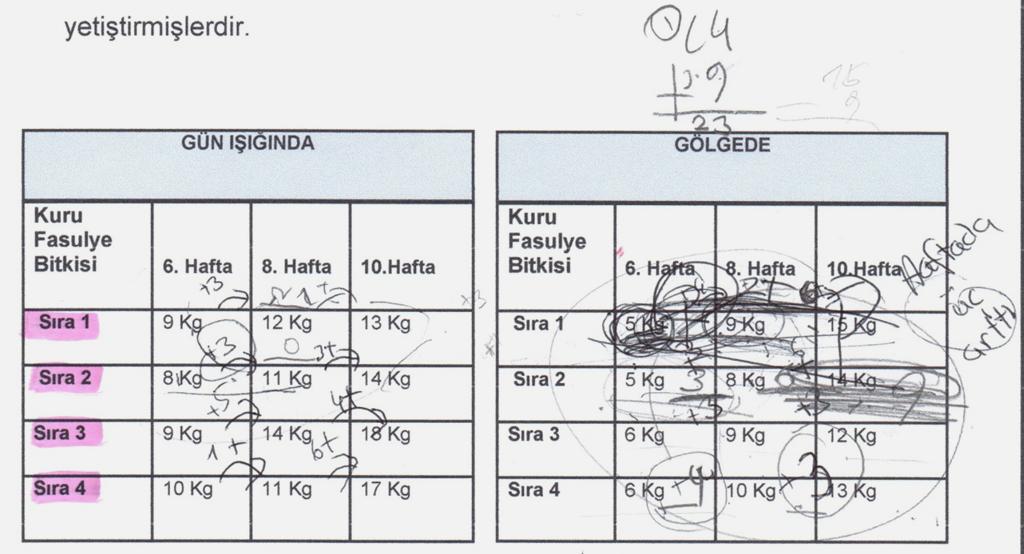 Karşılaştırması Şekil 19: Odak Grubun