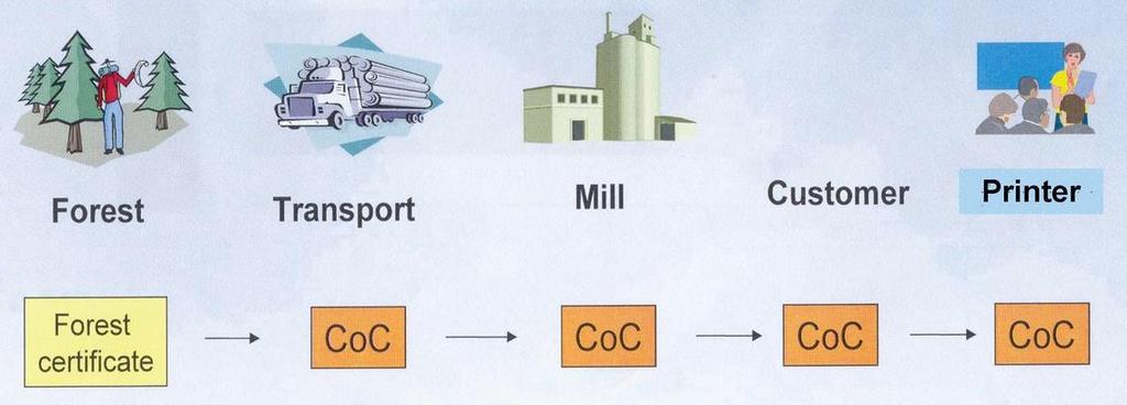 KAMU BİLİNCİ FSC Forest Stewardship