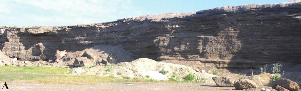 Çalışma alanının doğu sınırı olan Sarıhıdır ın güneyinde geniş bir kesimde varlığını koruyan bu seviye ayrıca Avanos un kuzeyinde yer alan Mal Tepe de tespit edilmiştir (Şekil 3).