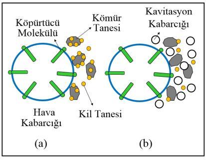 Flotasyon öncesi uygulanan şlam atma işlemi ile kil minerallerinden ayrılan kolemanitin flotasyonunda yüzen verimi ve tenöründe ciddi bir değişim gözlenmese de artığın B 2 O 3 tenöründe %10-15