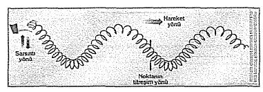 Dalganın yayıldığı ortamın taneciklerinin titreşim hareketinin doğrultusu, atmaların doğrultusuna dik ise bu tür dalgalara enine