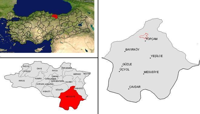 BÖLÜM 3 UYGULAMA 3.1 Çalışma Alanı Çalışma alanı, Ordu il sınırları içinde, Mesudiye ilçesine bağlı Topçam Bucağı nda, Topçam Merkez Köyü sınırları içerisinde 4.9 km 2 lik bir alandır (Şekil 3.1).