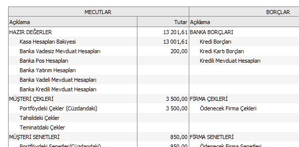 Mevcutlar tarafından işletmenize ait artı değerler yer alırken Borçlar kısmında ise işletmeniz ödemesi gereken değerleri yer almaktadır.