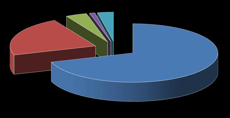 3001-4000 4% >4000 1% <1000 3% 2001-3000 22% 1001-2000 70% Şekil 1.