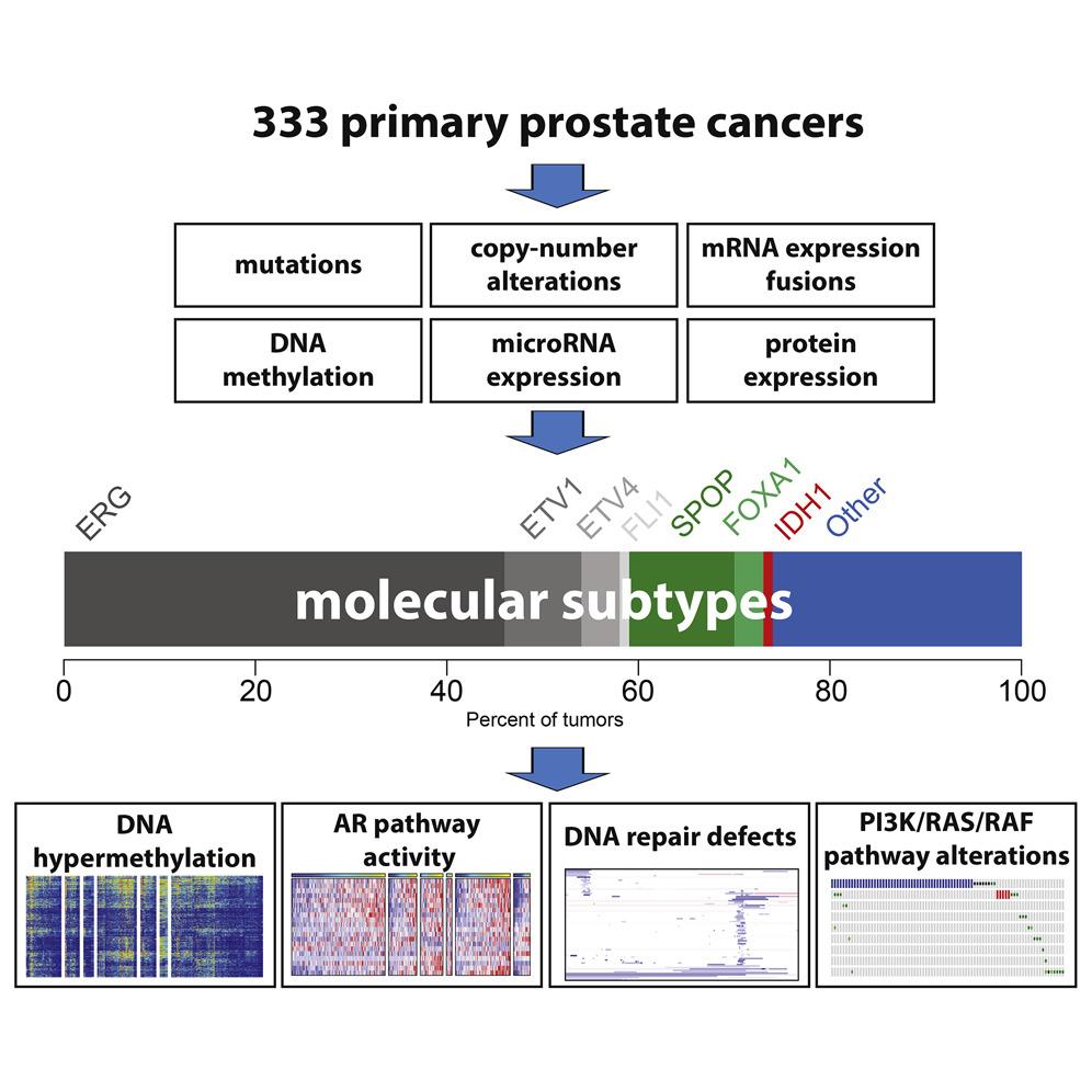 Cell 2015 163,