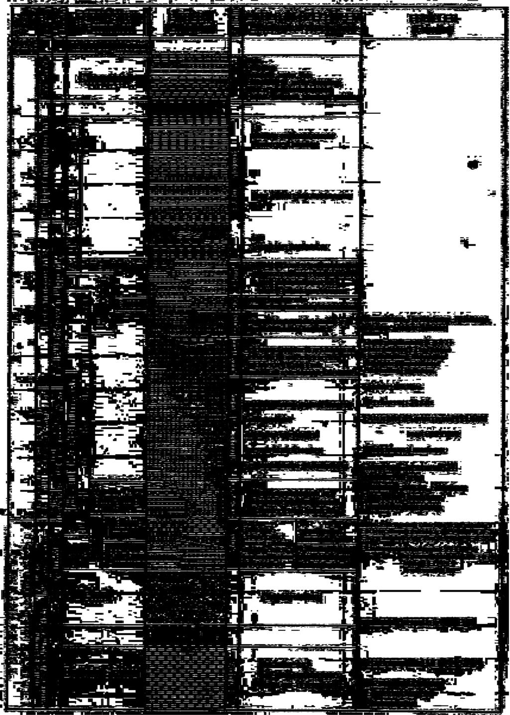 ait stratigrafik