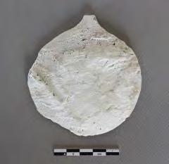 KAT. NO. 003 TİP 1.a.1 KAZI ENV. NO. Kt. k/t 221 MÜZE ENV. NO. 3895 MADDESİ Alabaster KORUNDUĞU YER KM YÜK. 11.4 cm. GEN. 9.4 cm. KAL. 0.7 cm.