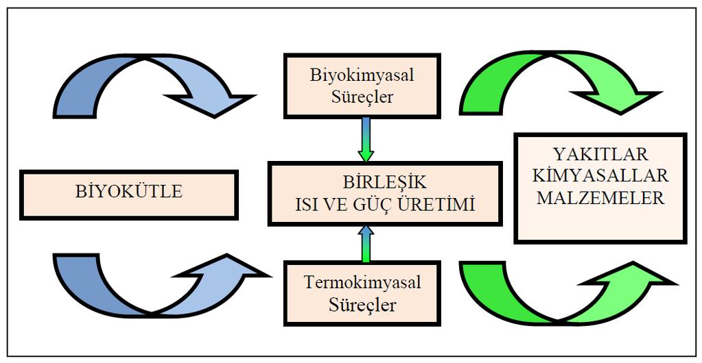 Biyorafinerilerin ekonomik açıdan uygulanabilir olması petrol rafinerilerinde olduğu gibi hammadde esnekliğine sahip olmasıyla sağlanabilecektir.