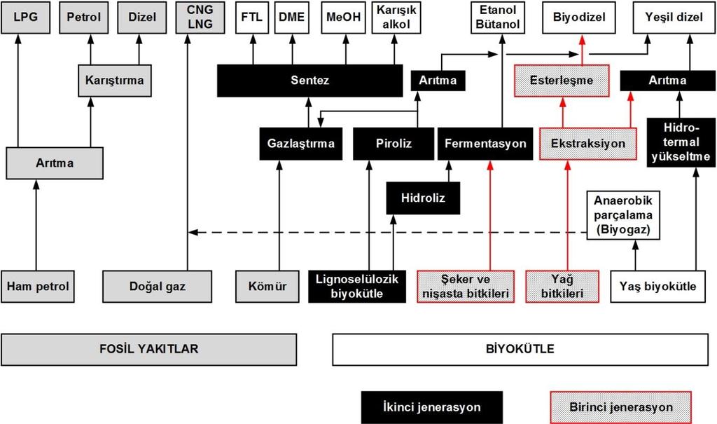 2. İkinci Nesil Biyoyakıtlar (2010-2030): Esnek yakıtlı taşıtlarda ve/veya ısı-elektrik üretiminde kullanılabilecek bitkisel yağ, biyodizel (yağ asidi etil esteri), biyoetanol (lignoselülozik 5