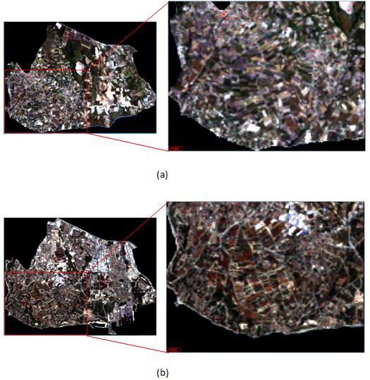 Şekil 5.12 : Sınıflandırılan görüntülerinde yerleşim sınıflarına ait seçilen 100 tane rastgele nokta (a) 1984, (b) 2011. Çizelge 5.