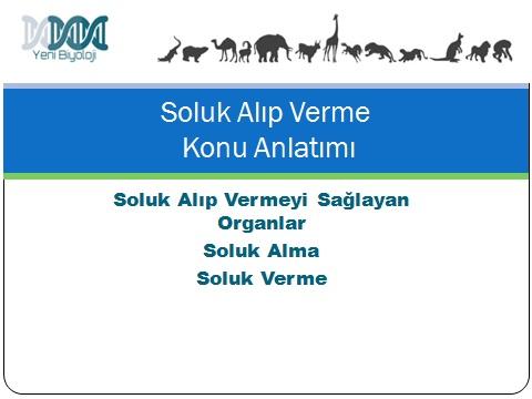 Soluk Alıp Verme Konu Anlatımı Yen B yoloj Eylül 16, 2017 >> OKUYUNCA ŞAŞIRACAKSINIZ: B yoloj Hakkında İlg nç B lg ler?