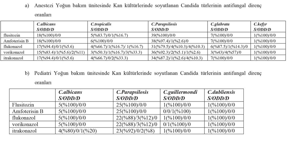 Türkiye nin Batısında, 3.