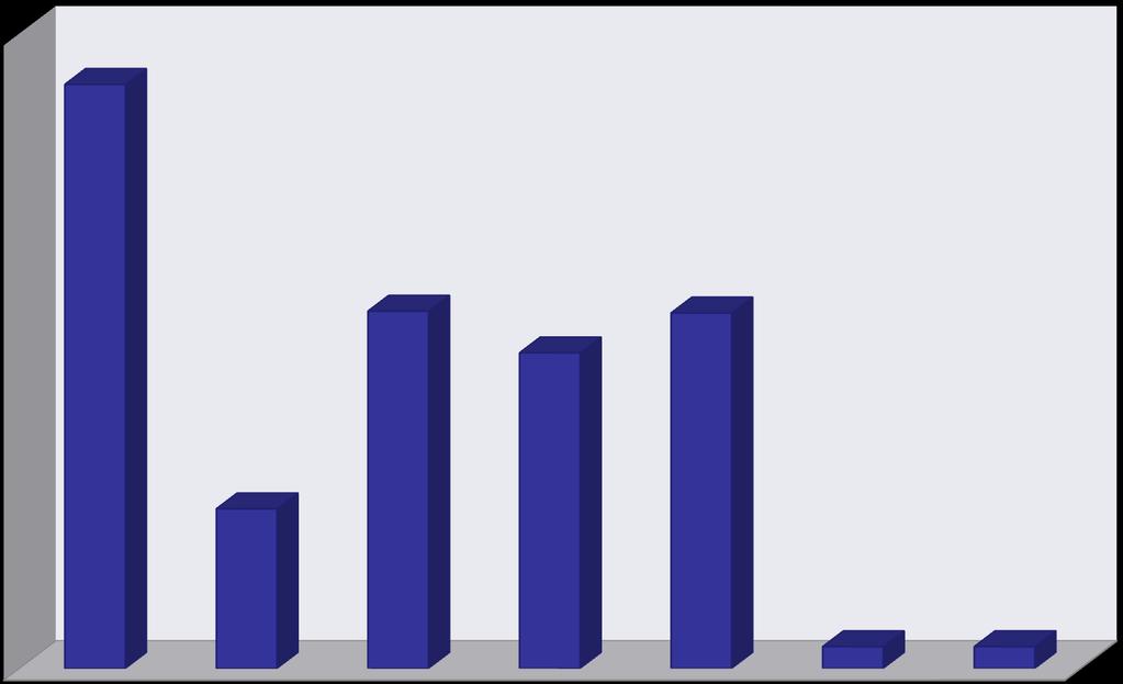 En Önemli Kirlilik Problemi 32,20% 20% 17,40% 20% 8,80% 1,20% 1,20% Hava Kirliliği