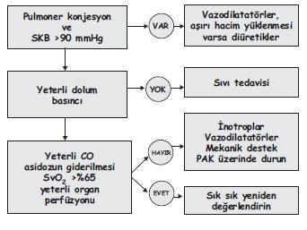 LV dolum basıncına