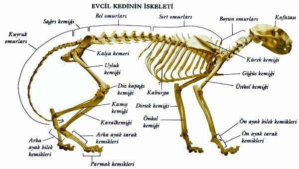 Gerçekleşmeyen Projeler ve Çalışmalar (Aynı zamanda) 2017 Proje ve Çalışmalar 1.