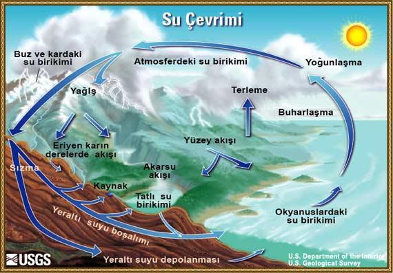 Su çevriminin bileşenleri 1. Okyanuslarda su depolanması 2. Buharlaşma 3. Atmosferdeki su 4. Yoğunlaşma 5. Yağış 6. Buz ve kar içinde su depolanması 7. Kar erimesiyle akarsulara akış 8.