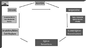 SAĞLIK BİLİMLERİ ÜNİVERSİTESİ TIP FAKÜLTESİ TIPTA UZMANLIK EĞİTİMİ lundukları pozisyon ve kadro durumuna bakılmaksızın, eğitimde görevlidirler.