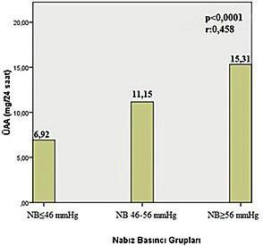 NB 46 grubun ortalama açlık plazma glukozu 158,55±71,1 mg/dl, ortalama HbA1c si 7,16±1,4 %, ortalama total kolesterolü 192,51±46,6 mg/dl, ortalama LDL kolesterolü 112,7±34,5 mg/dl, ortalama HDL